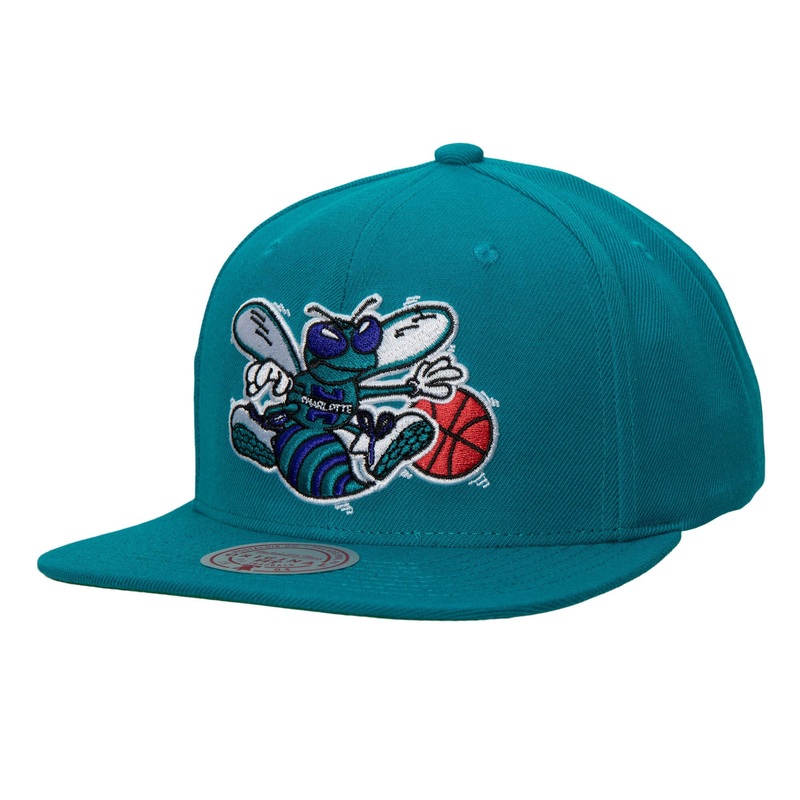 Charlotte Hornets Mitchell & Ness NBA Snapback Cap Hat Teal Crown/Visor Team Color Logo Green UV